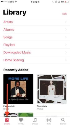 Where is Music Stored on iPhone: A Journey Through Soundbytes and Data Spaces